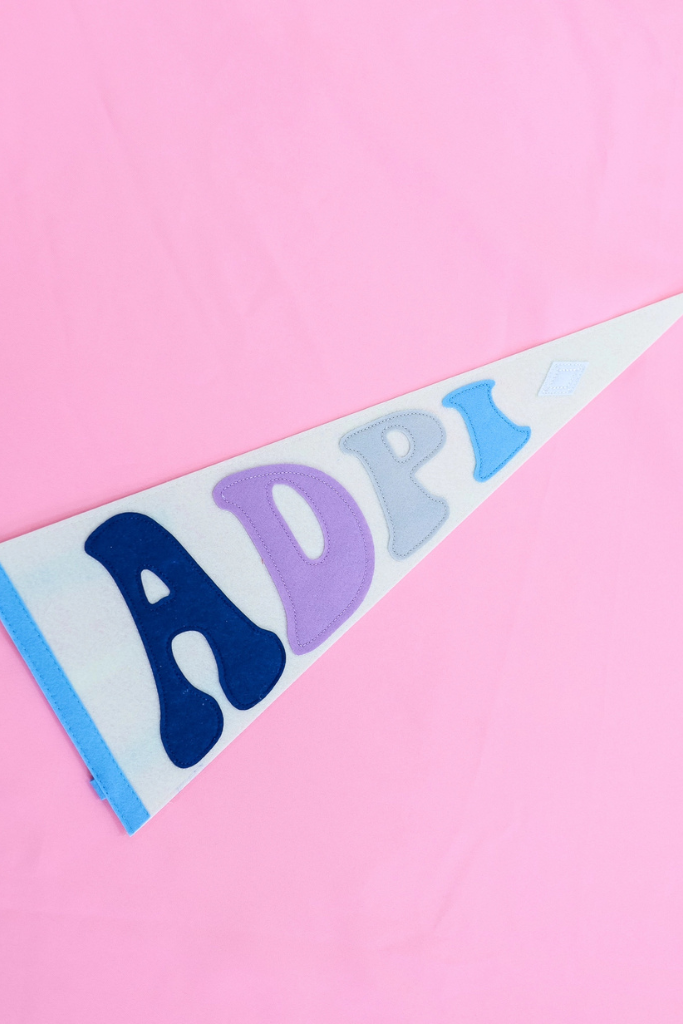 Rainbow Pennant Flag - ADPI
