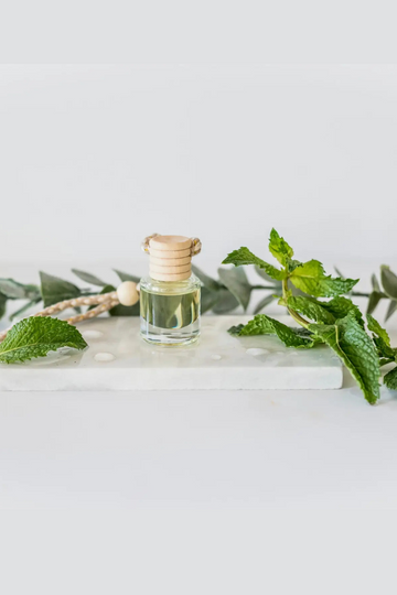 Car Diffuser - Eucalyptus Mint