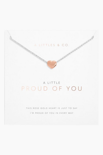 A Little 'Proud of You' Necklace - Silver/Rose Gold
