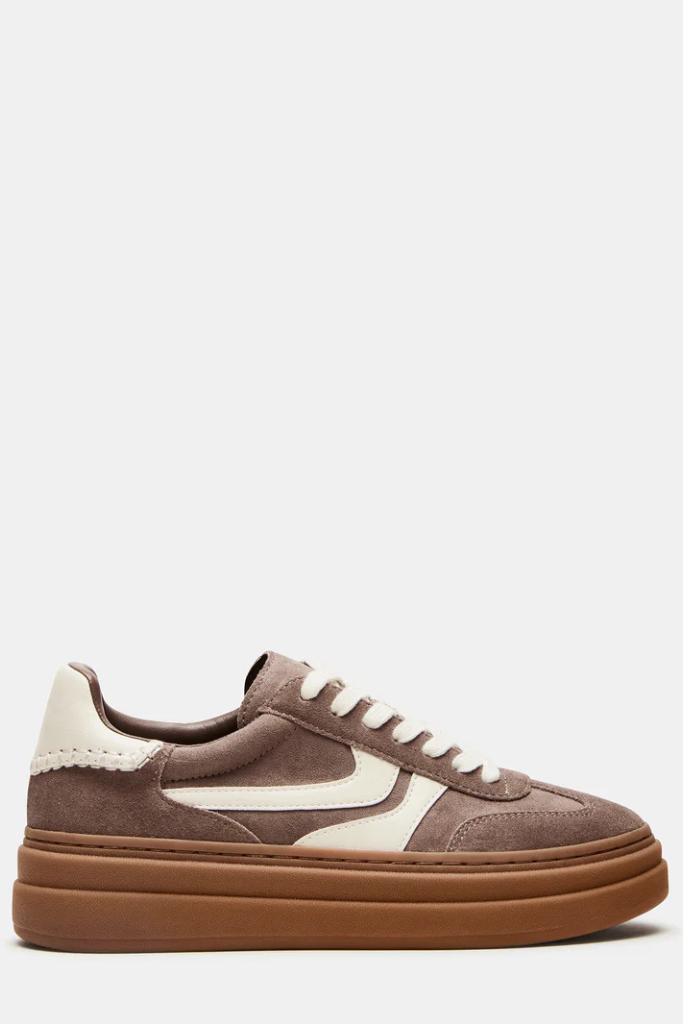 Steve Madden Dodge Sneaker - Taupe Suede
