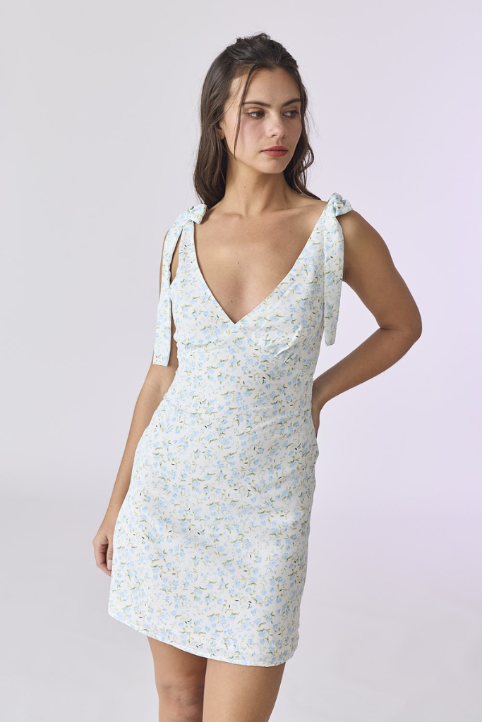 Ezra Floral Dress - Blue