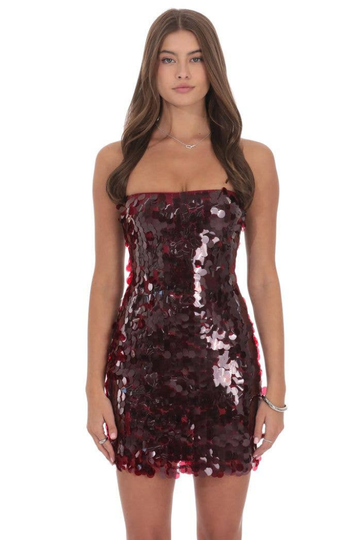 Lucy In The Sky Kora Mini  Dress - Burgundy