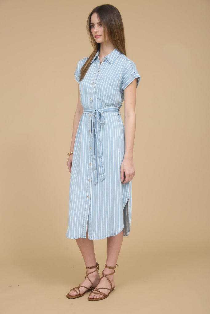 Keepsake Striped Midi Dress - Blue/White