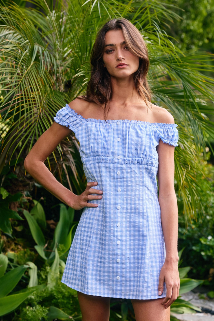 Hanish Gingham Dress - Blue/White