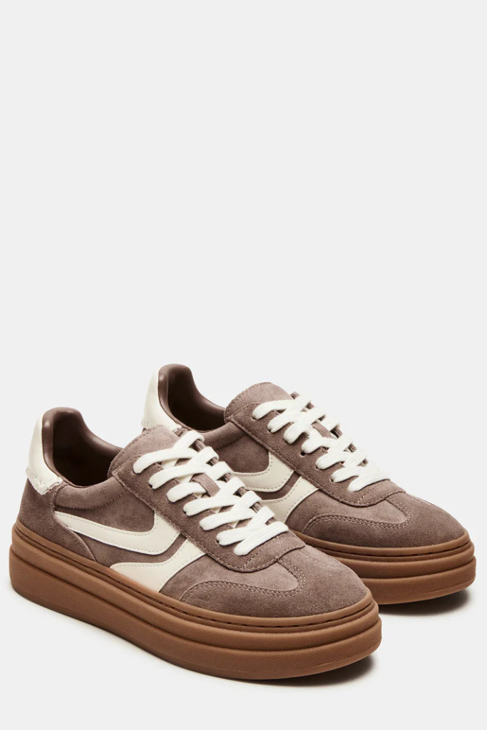Steve Madden Dodge Sneaker - Taupe Suede