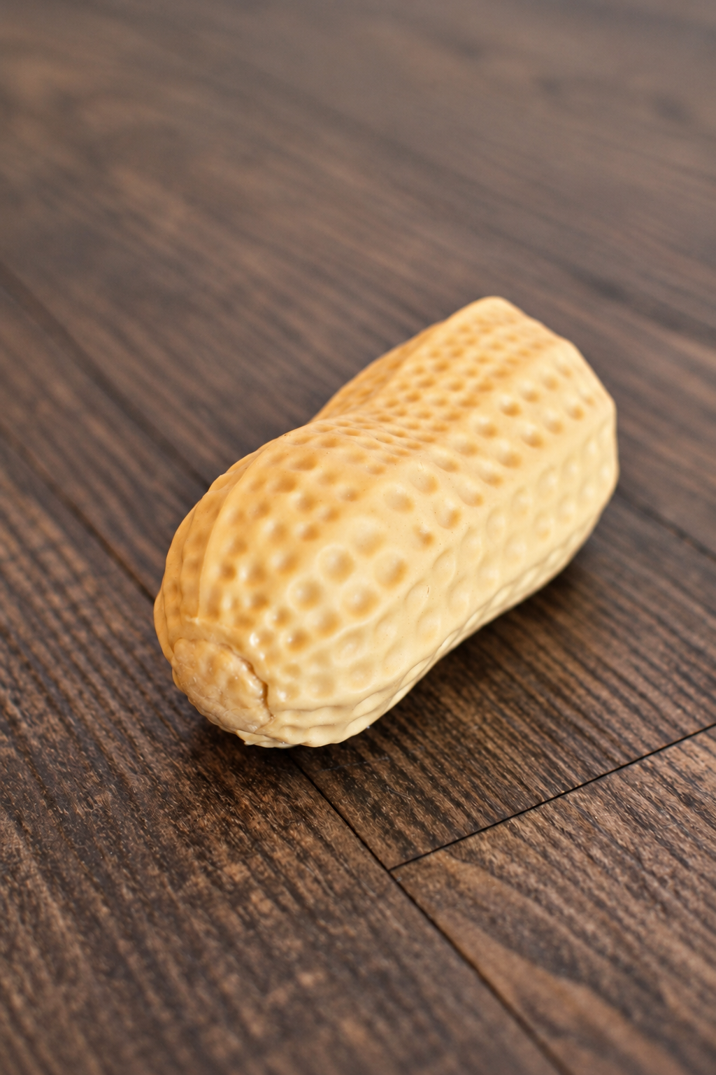 Crunchy Peanut Squishy
