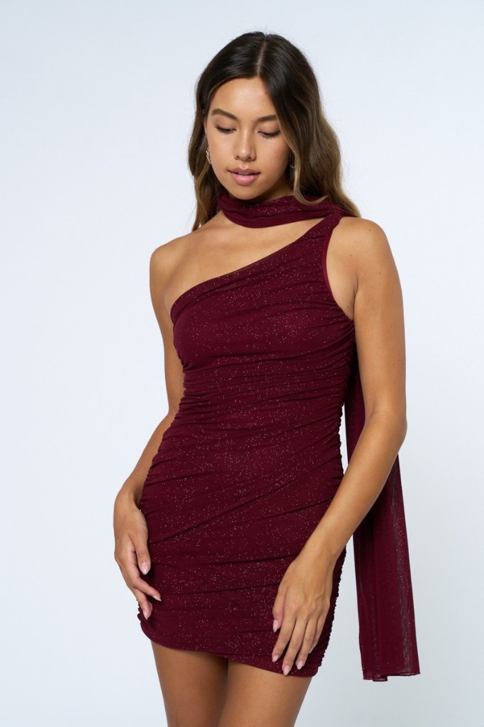 Anita Sparkle Mini Dress - Burgundy