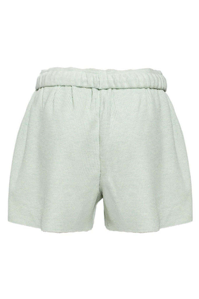 Boys Lie Breakfast Beers Shorts - Pastel Sage