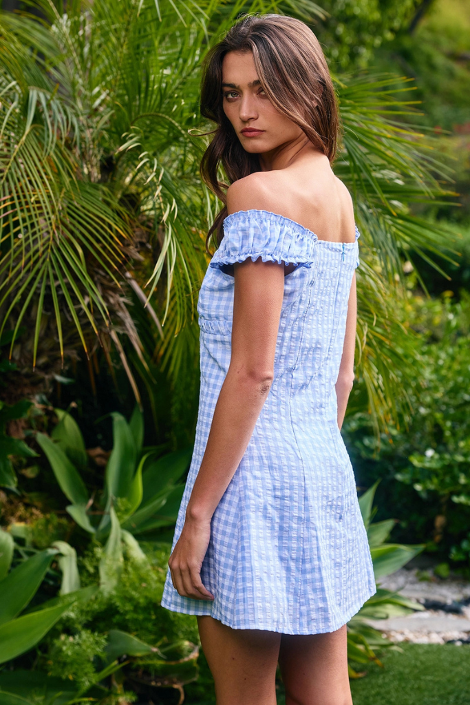 Hanish Gingham Dress - Blue/White