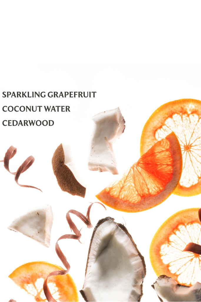 Touchland Hand Sanitizer - Beach Coco