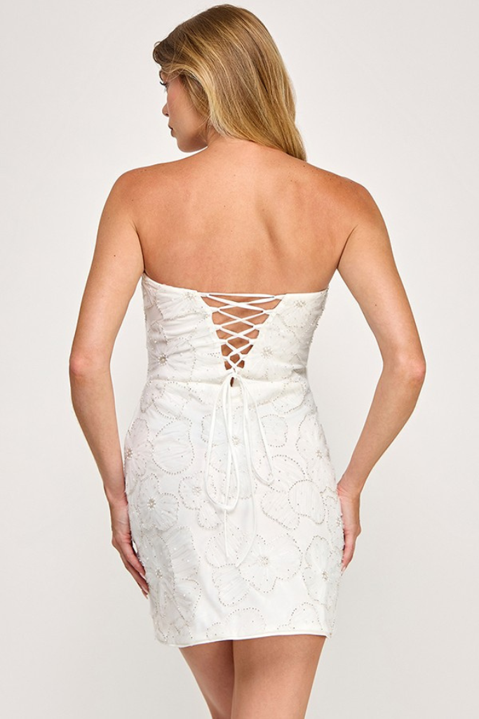 Theodella Embellished Dress - Ivory
