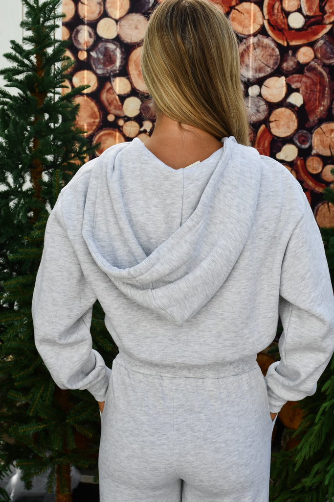 Everyday Zip Hoodie -  Ice Grey