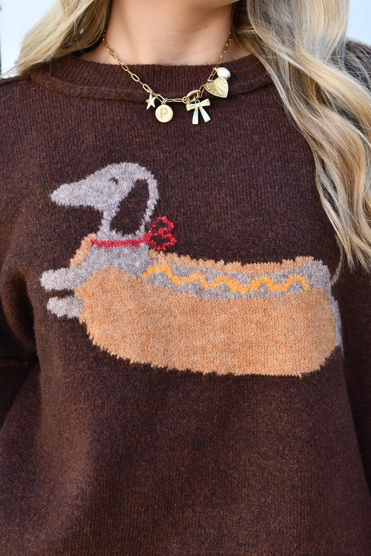 Close-up of dachshund hot dog knit graphic on brown sweater
