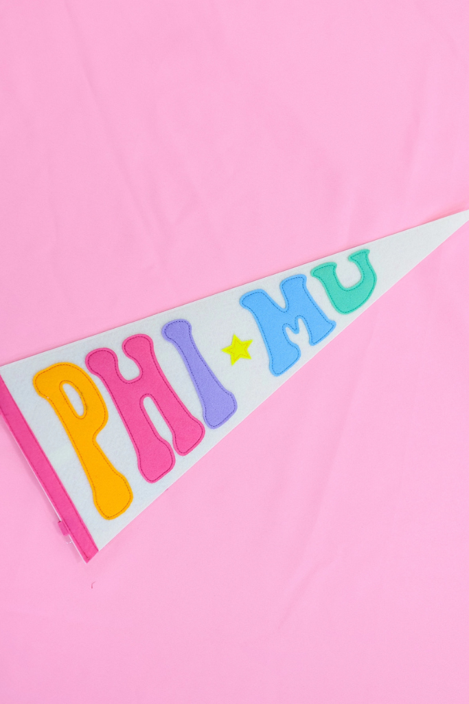 Rainbow Pennant Flag - Phi Mu