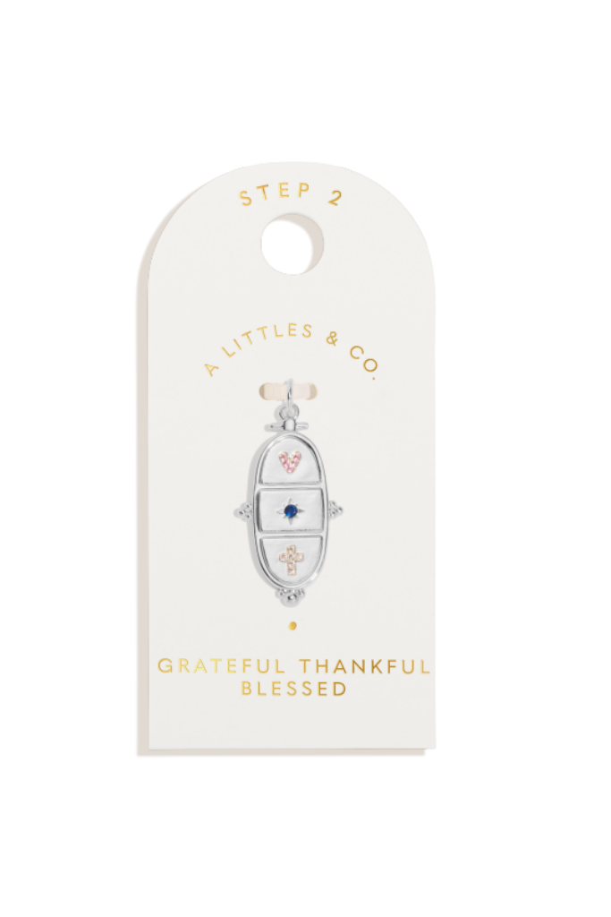 A Little &amp; Co Large Charms -