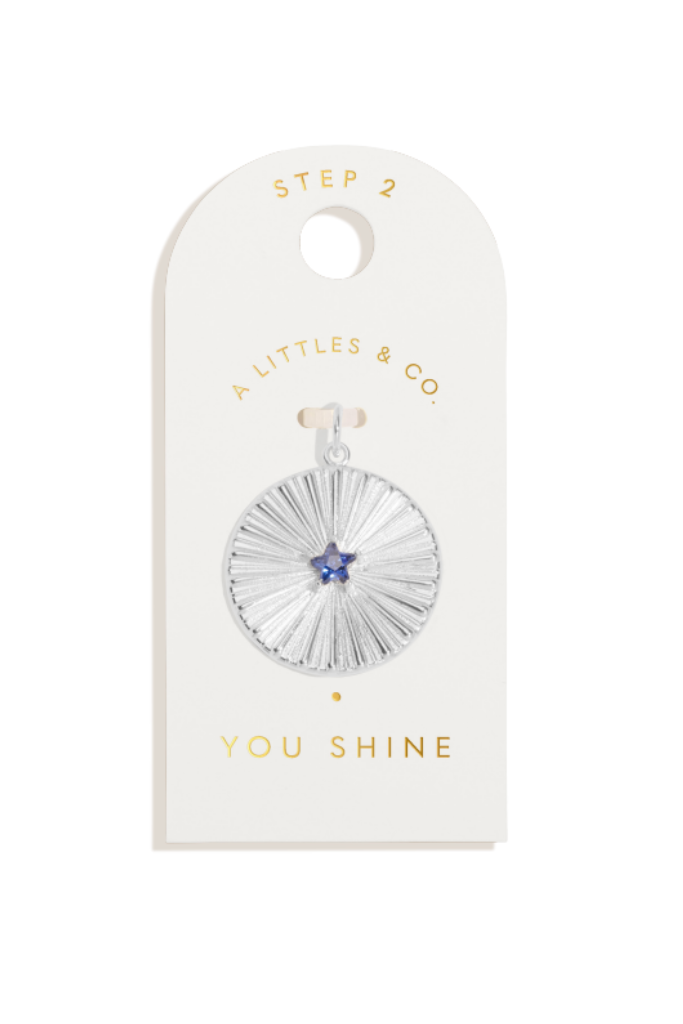 A Little &amp; Co Large Charms -