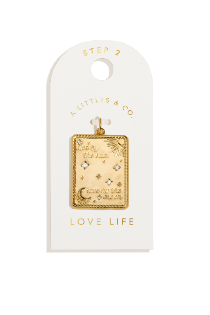 A Little &amp; Co Large Charms -