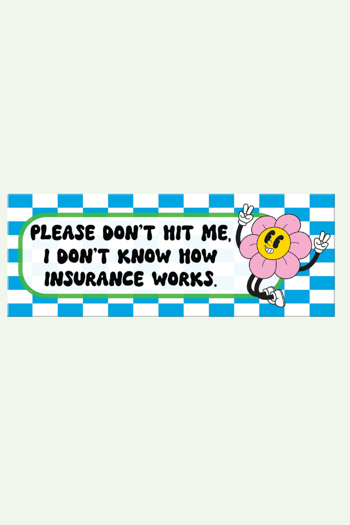 Please Don't Hit Me Bumper Sticker