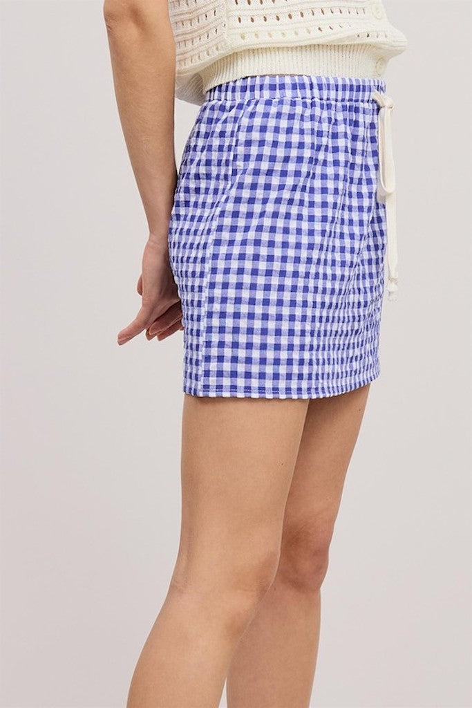 Zola Gingham Mini Skirt- Blue/ White
