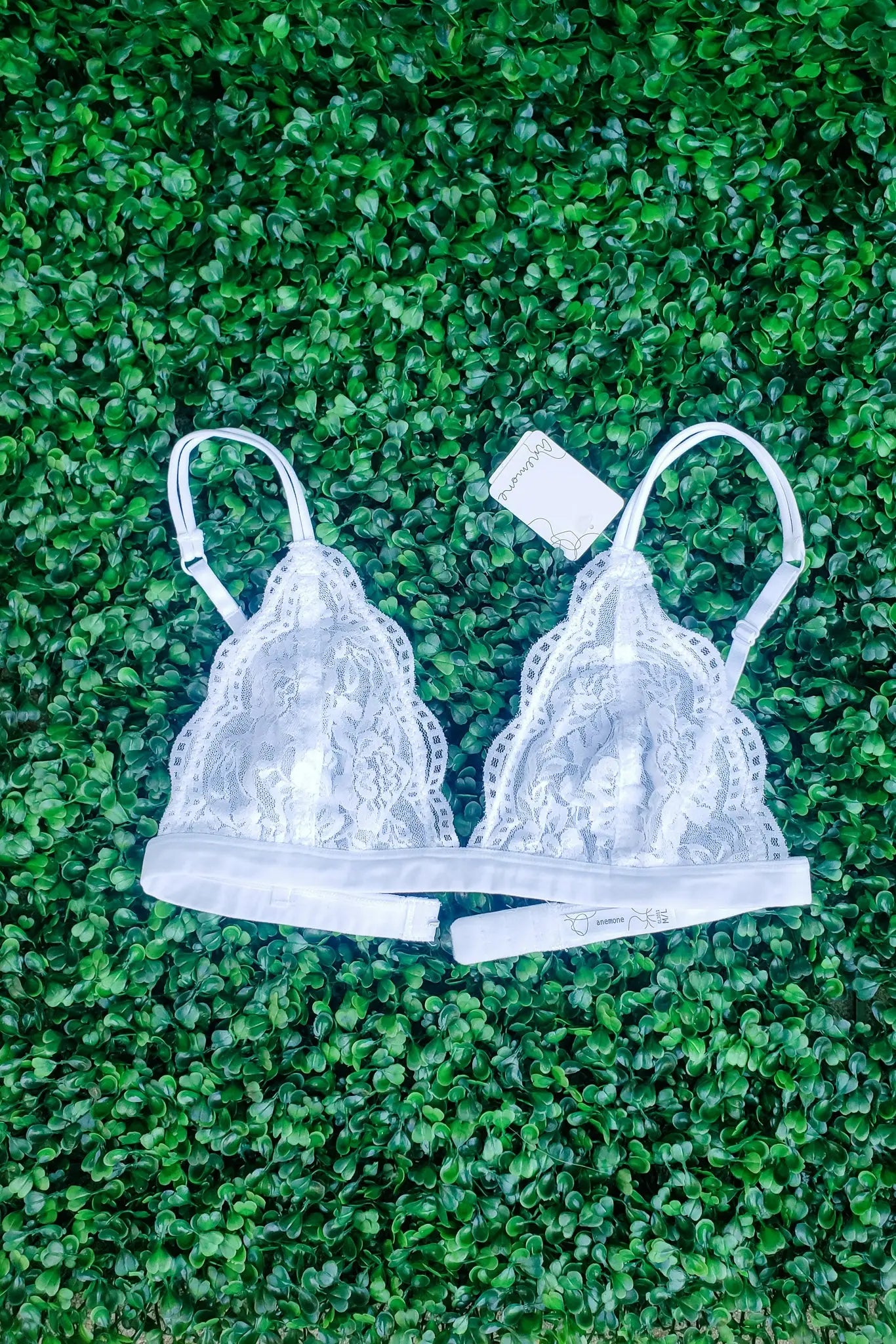 Daisy Triangle Lace Bralette - White