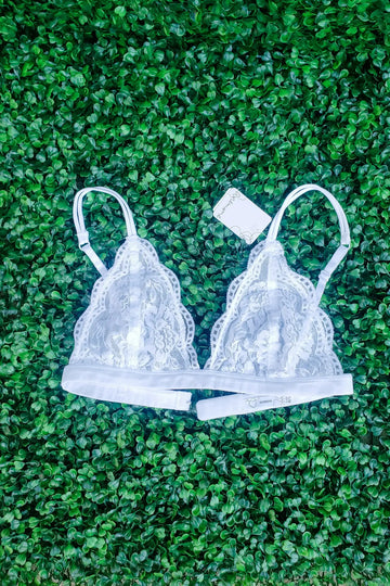 Daisy Triangle Lace Bralette - White