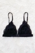 Daisy Triangle Lace Bralette - Black