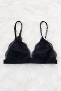 Daisy Triangle Lace Bralette - Black